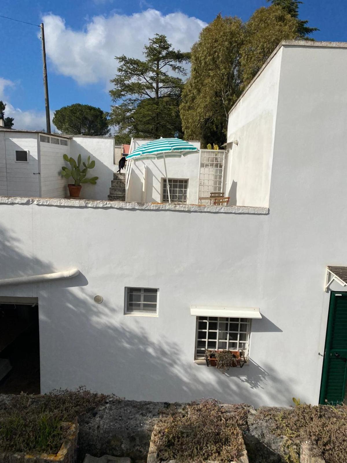 Casa Gianre Casa de hóspedes Monopoli Exterior foto